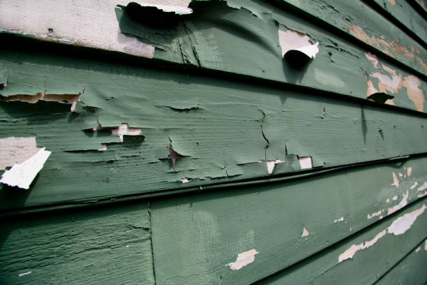 Best Recycling Services for Junk  in Pinehurst, MA